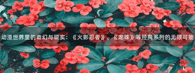www.78动漫