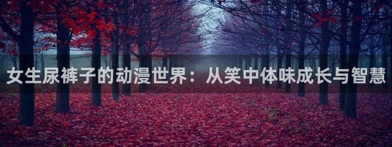 78动漫官网网站