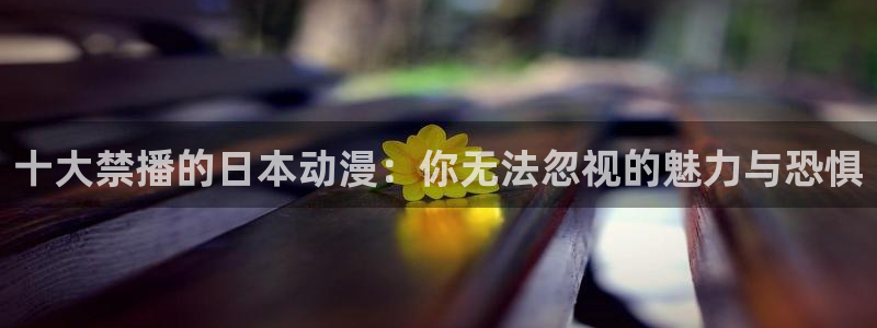 178动漫之家官网：十大禁播的日本动漫：你无法忽视的魅力与恐惧