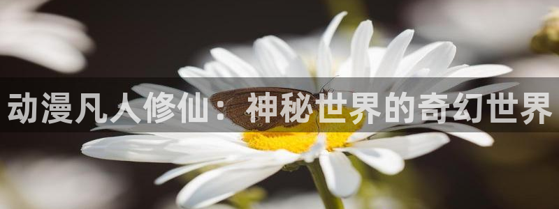78动漫网页版高达说明书