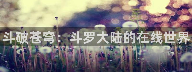 178动漫之家官网