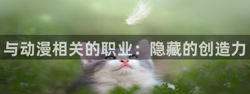 78动漫网打不开