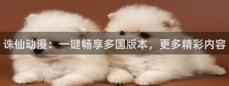 78动漫网页版登录入口：诛仙动漫：一键畅享多国版本，更多精彩内容